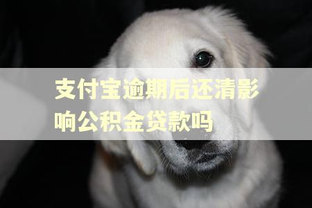 支付宝逾期后还清影响公积金贷款吗