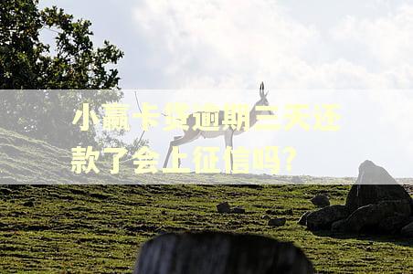 小赢卡贷逾期三天还款了会上征信吗?