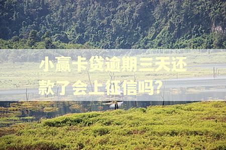 小赢卡贷逾期三天还款了会上征信吗? 小赢卡贷逾期三天还款了会上征信吗?