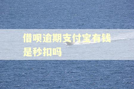 借呗逾期支付宝有钱是秒扣吗