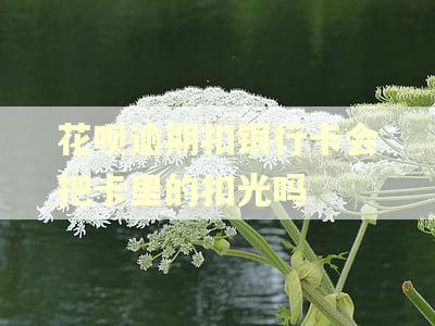 花呗逾期扣银行卡会把卡里的扣光吗 花呗逾期扣银行卡会把卡里的扣光吗