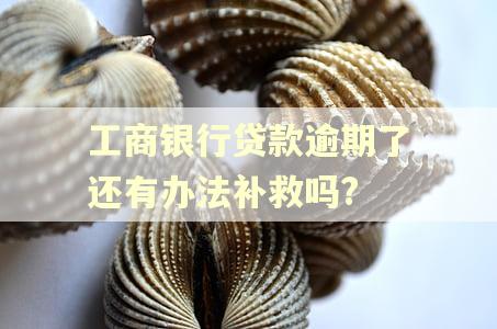 工商银行贷款逾期了还有办法补救吗?