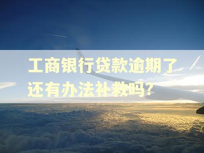 工商银行贷款逾期了还有办法补救吗?