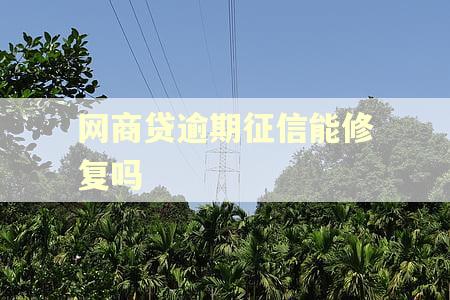 网商贷逾期征信能修复吗