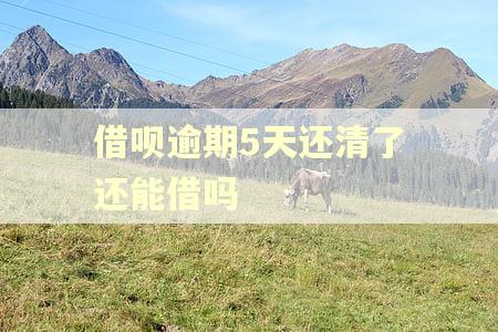 借呗逾期5天还清了还能借吗