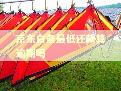 京东白条最低还款算逾期吗