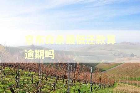 京东白条最低还款算逾期吗