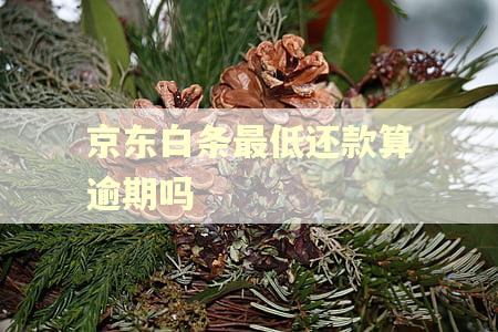 京东白条最低还款算逾期吗