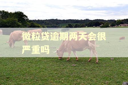微粒贷逾期两天会很严重吗 微粒贷逾期两天会很严重吗