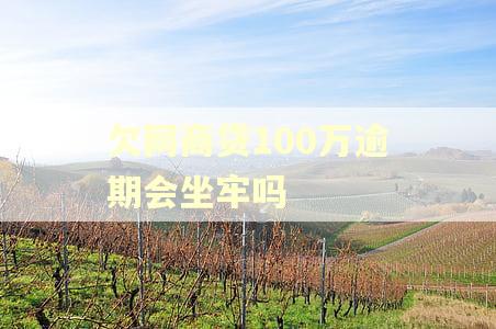 欠网商贷100万逾期会坐牢吗