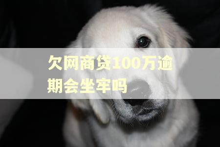 欠网商贷100万逾期会坐牢吗