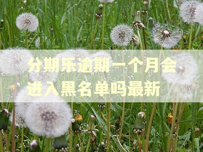 分期乐逾期一个月会进入黑名单吗最新