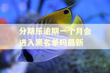 分期乐逾期一个月会进入黑名单吗最新