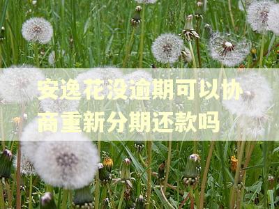 安逸花没逾期可以协商重新分期还款吗 安逸花没逾期可以协商重新分期还款吗