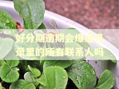 好分期逾期会爆通讯录里的所有联系人吗