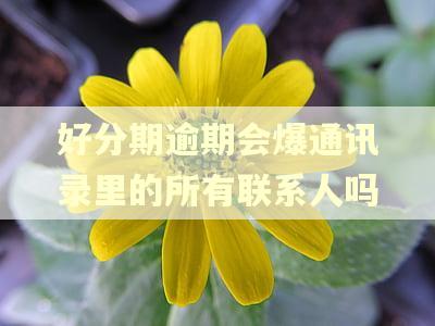好分期逾期会爆通讯录里的所有联系人吗