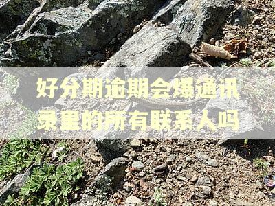 好分期逾期会爆通讯录里的所有联系人吗