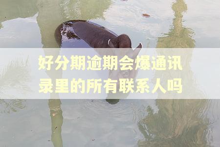 好分期逾期会爆通讯录里的所有联系人吗 好分期逾期会爆通讯录里的所有联系人吗