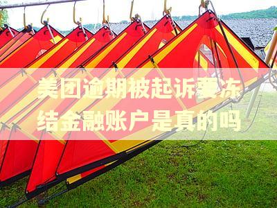 美团逾期被起诉要冻结金融账户是真的吗