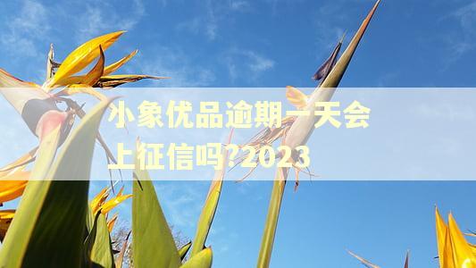 小象优品逾期一天会上征信吗?2023