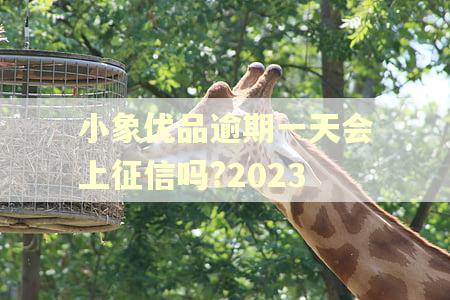 小象优品逾期一天会上征信吗?2023