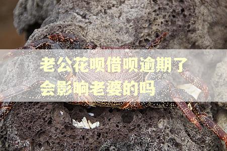 老公花呗借呗逾期了会影响老婆的吗