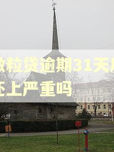 微粒贷逾期31天后还上严重吗