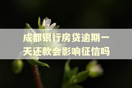 成都银行房贷逾期一天还款会影响征信吗