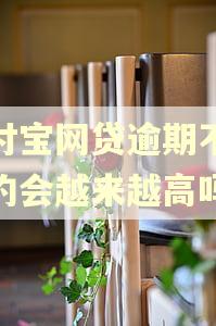 支付宝网贷逾期不还违约会越来越高吗 支付宝网贷逾期不还违约会越来越高吗