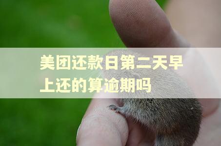 美团还款日第二天早上还的算逾期吗 美团还款日第二天早上还的算逾期吗