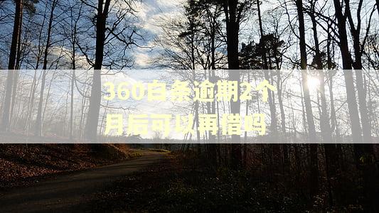 360白条逾期2个月后可以再借吗