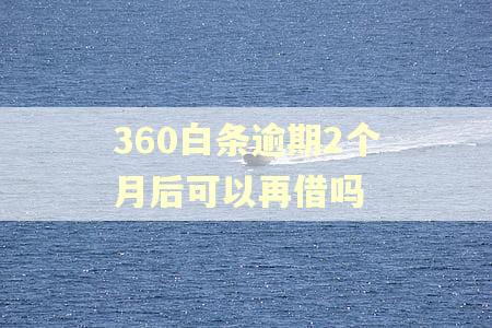 360白条逾期2个月后可以再借吗