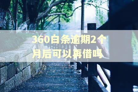 360白条逾期2个月后可以再借吗 360白条逾期2个月后可以再借吗