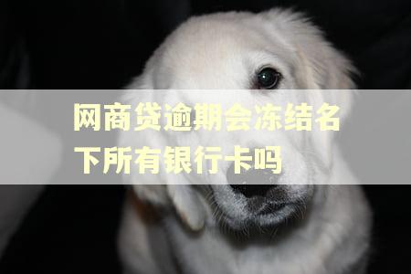 网商贷逾期会冻结名下所有银行卡吗