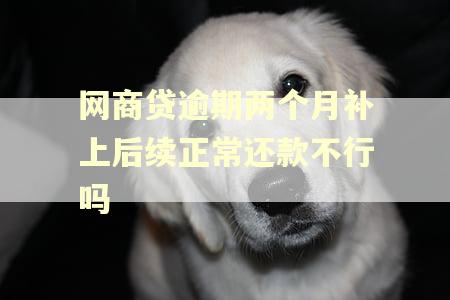 网商贷逾期两个月补上后续正常还款不行吗