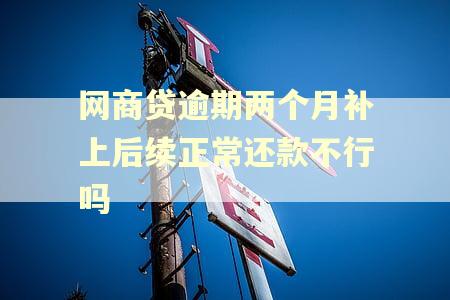 网商贷逾期两个月补上后续正常还款不行吗