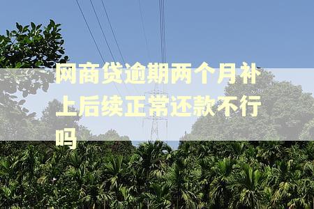 网商贷逾期两个月补上后续正常还款不行吗