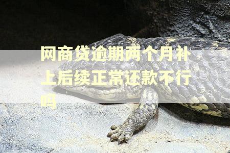 网商贷逾期两个月补上后续正常还款不行吗