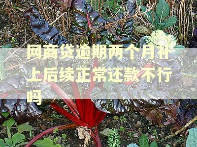 网商贷逾期两个月补上后续正常还款不行吗