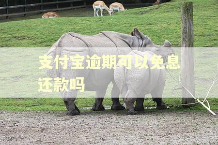 支付宝逾期可以免息还款吗 支付宝逾期可以免息还款吗