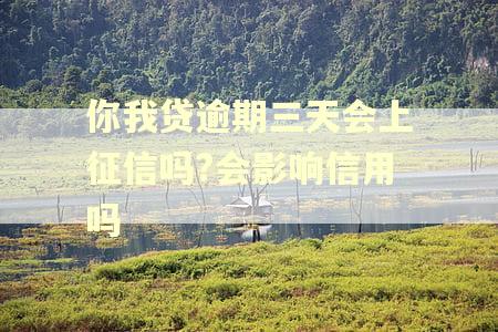 你我贷逾期三天会上征信吗?会影响信用吗