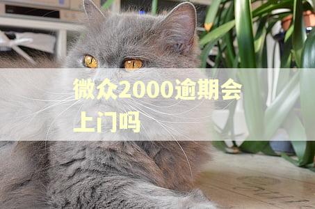 微众2000逾期会上门吗