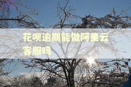 花呗逾期能做阿里云客服吗