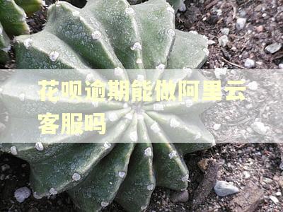 花呗逾期能做阿里云客服吗 花呗逾期能做阿里云客服吗