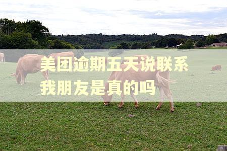 美团逾期五天说联系我朋友是真的吗