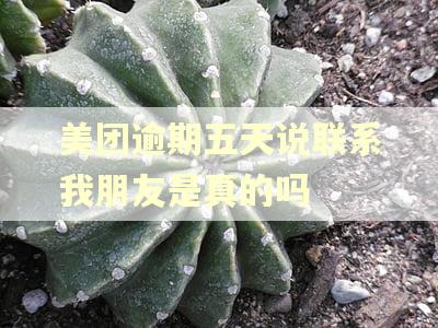 美团逾期五天说联系我朋友是真的吗 美团逾期五天说联系我朋友是真的吗
