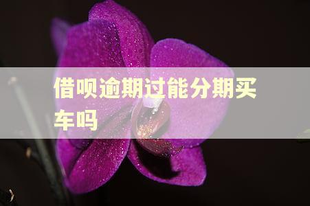 借呗逾期过能分期买车吗