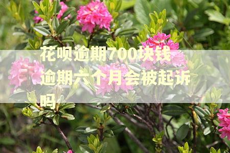 花呗逾期700块钱逾期六个月会被起诉吗