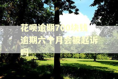 花呗逾期700块钱逾期六个月会被起诉吗 花呗逾期700块钱逾期六个月会被起诉吗