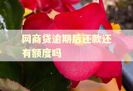网商贷逾期后还款还有额度吗